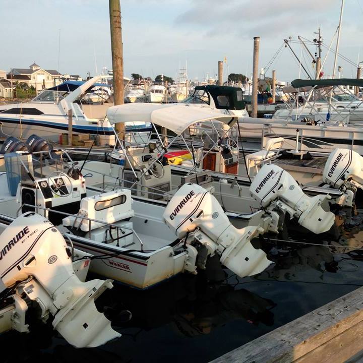 10014677_610884025665216_607648288_n A doc with many boats
